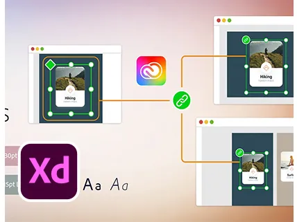 Adobe XD Training