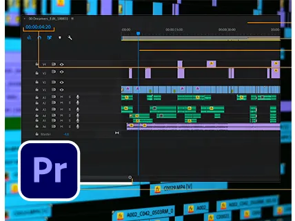 Premiere Pro Training